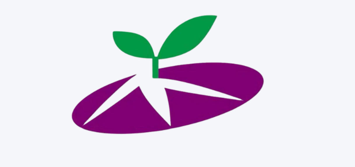 生涯发展课程：走进小苗基金